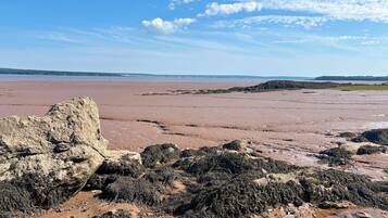 A coastal landscape with rocky terrain and a distant view of the sea.