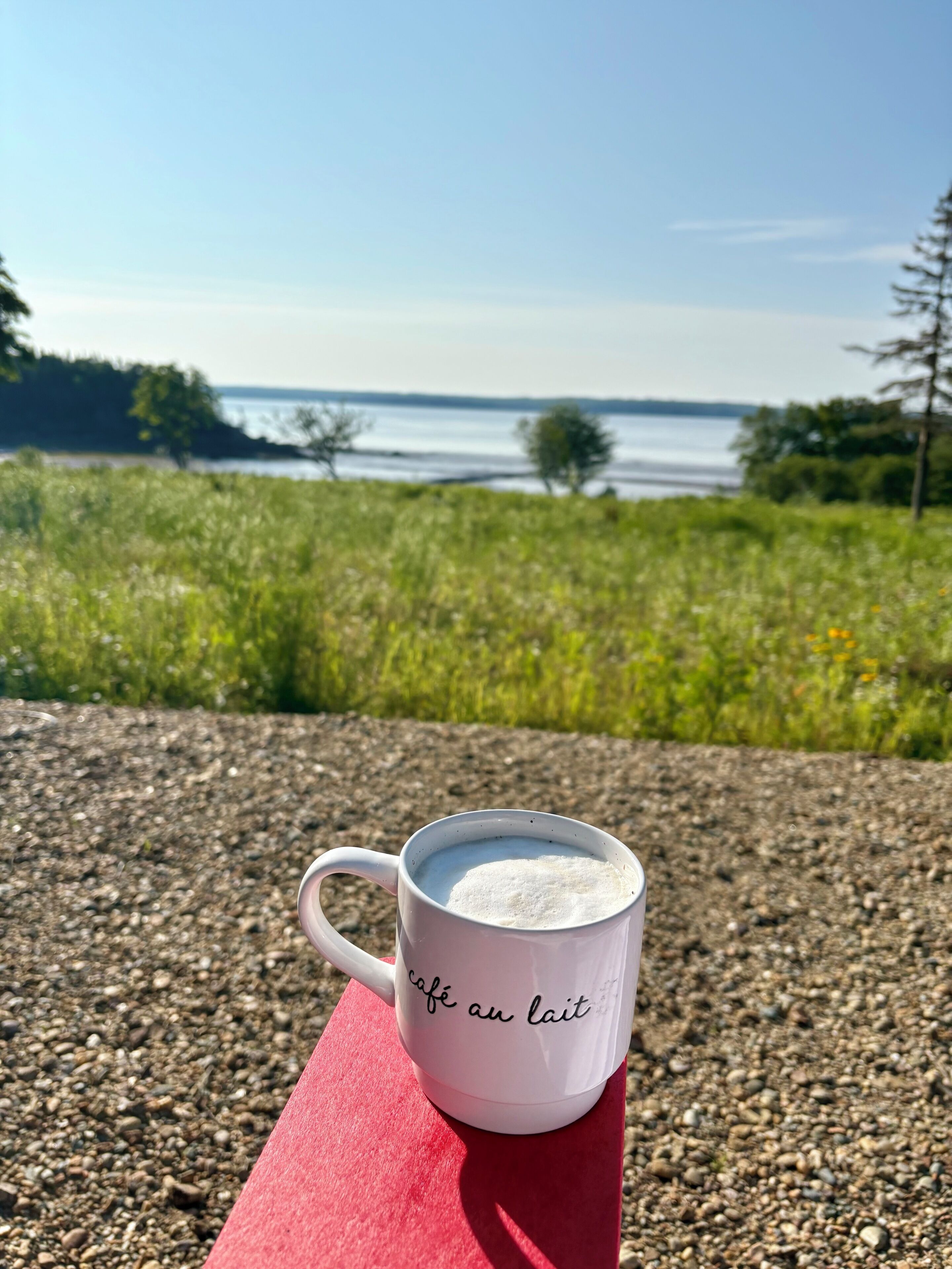 Une tasse blanche avec du texte sur une surface rouge, placée à l’extérieur, avec un paysage naturel en arrière-plan.