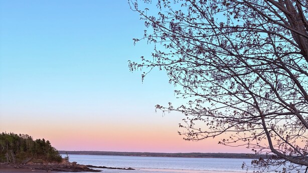 A beach with a tree in the foreground and a clear sky. - Private Bay of Fundy Escape | Ocean Views, Sauna & Tides (Upper Rockport)