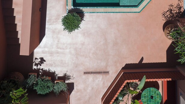 Oversigtsbillede af en swimmingpool med fliseterrasse, liggestole og plantede planter.