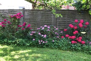 A garden with pink flowers and a wooden fence. - Holiday apartment with 1 bedroom (Osterode - Lerbach)