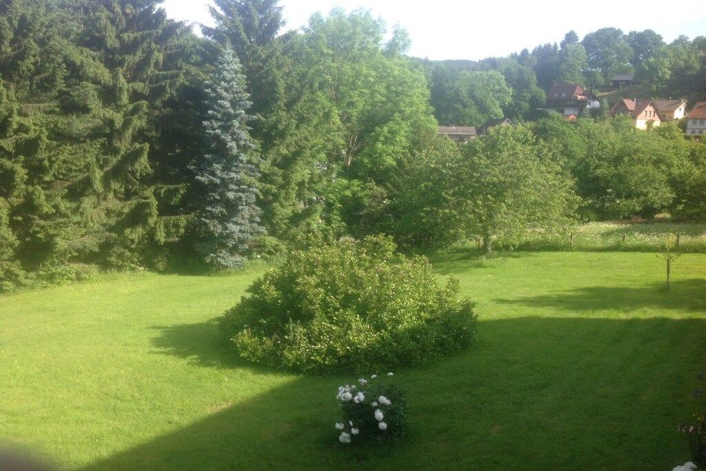 Une zone herbeuse avec des arbres et un petit arbuste aux fleurs blanches.
