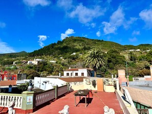 A rooftop terrace with a view of a hillside, a palm tree, and a statue. - Increíble Casa Colonial  (El Pueblo)