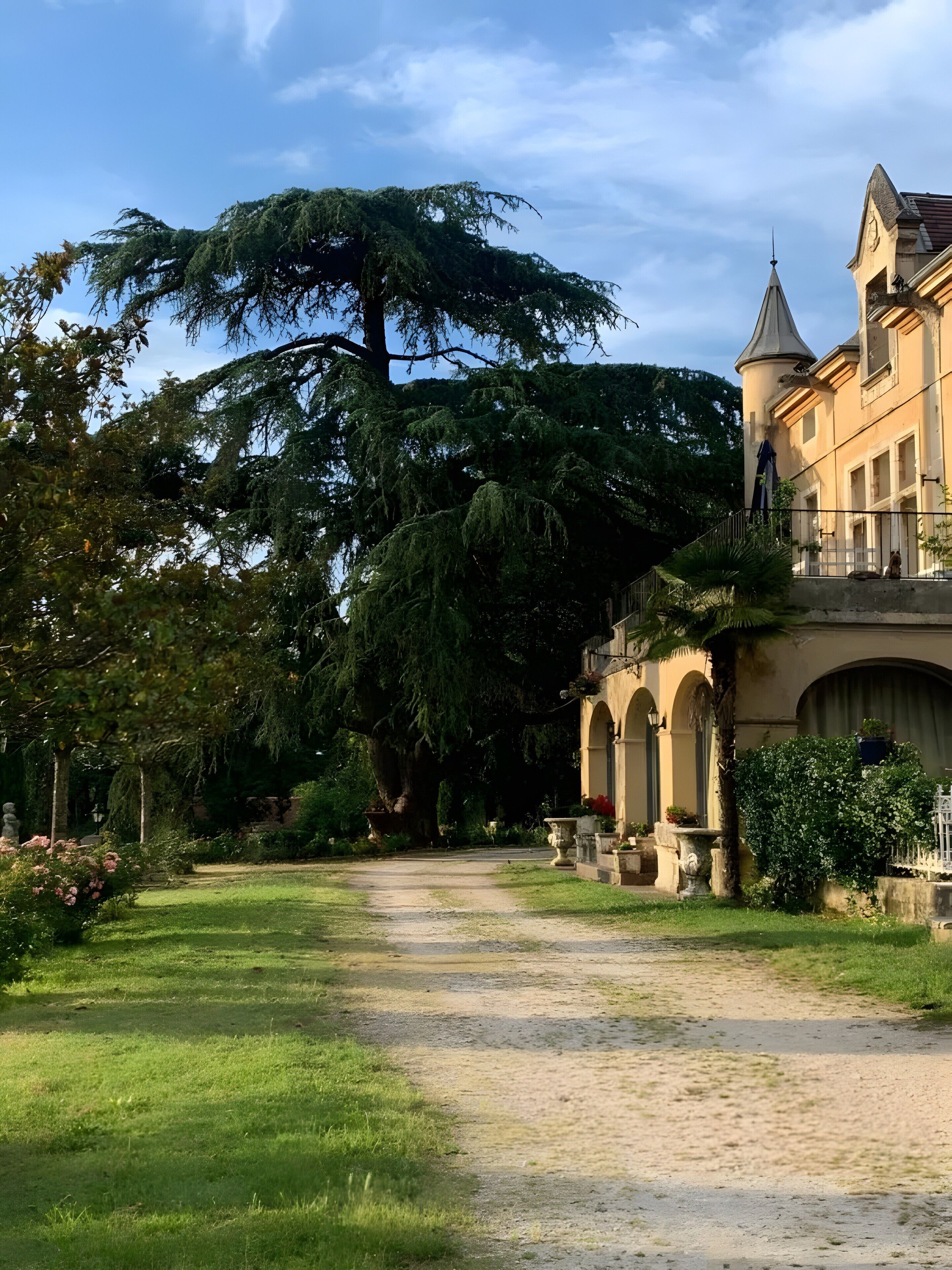 Un camino que lleva a un edificio con un gran árbol y una fuente.