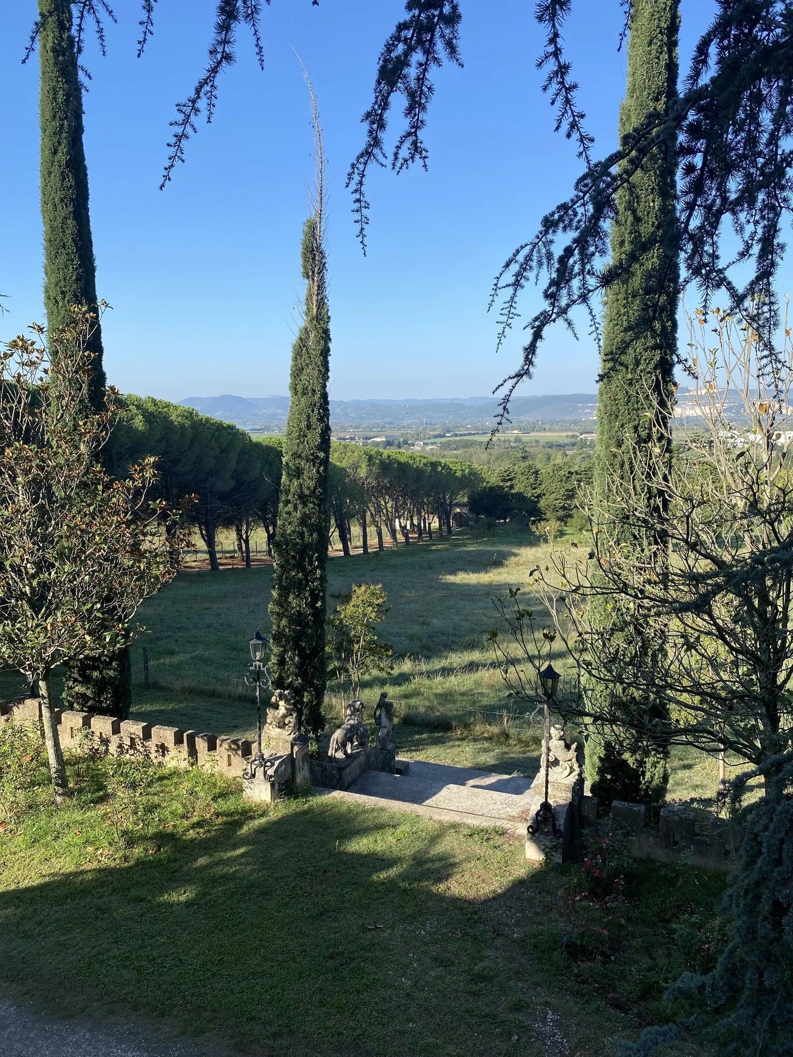 A landscaped garden with tall trees, a grassy area, and a distant view of a town.