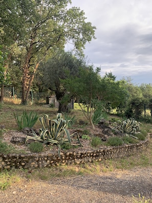 Un jardín con diversas plantas y árboles, un muro de piedra y una cerca.