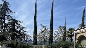 Una piscina con agua cristalina, rodeada de altos árboles y vista al océano.