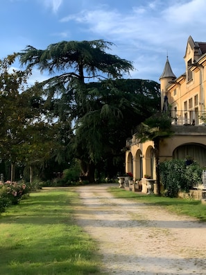 A pathway leading to a building with a large tree and a tower.