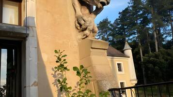 Een stenen gargoyle bevestigd aan de gevel van een gebouw, een kleine bloempot en een metalen hek.