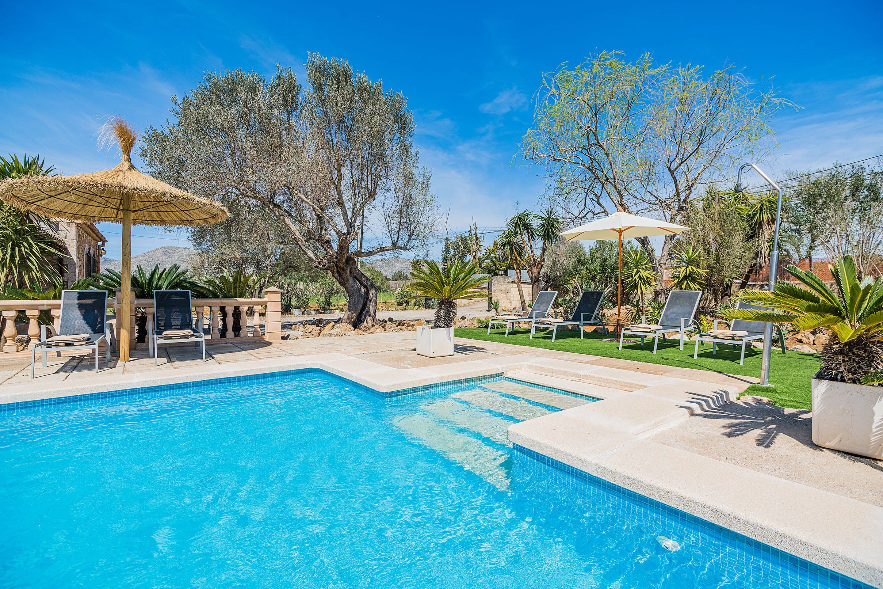 A swimming pool with lounge chairs and umbrellas, surrounded by trees and a clear sky.