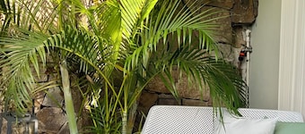 The Coconut | Cozy 1-Bedroom Apartment in the Hills of Saint Jean