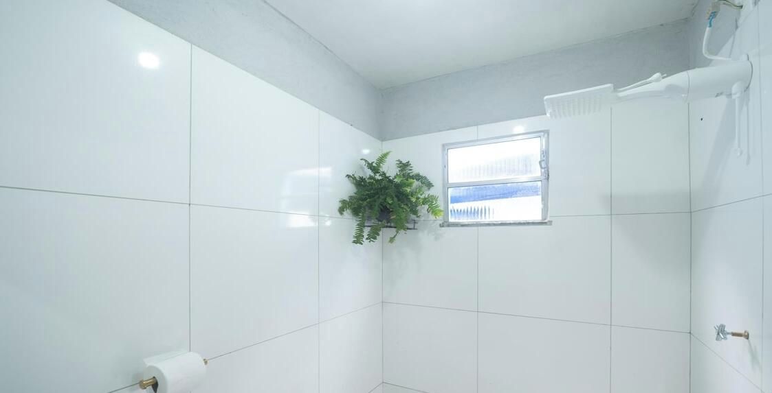 Casa de banho com azulejos brancos, janela, planta e porta-papel higiénico.