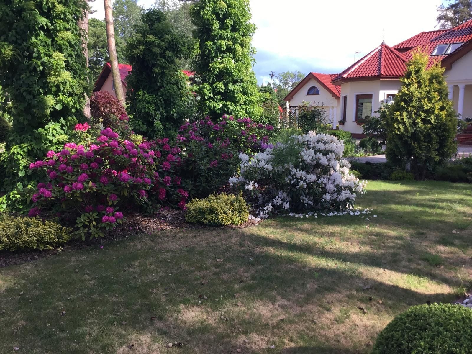 Un jardin bien entretenu, agrémenté de divers arbustes et fleurs, avec une pelouse et, au fond, un bâtiment doté d’un toit rouge.