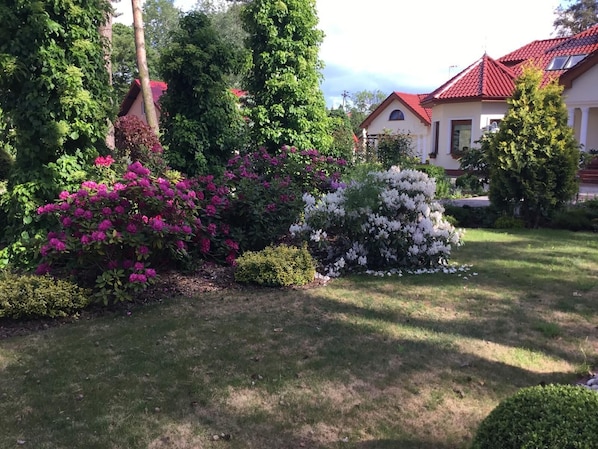 A well-maintained garden with various shrubs and flowers, a lawn, and a building with a red roof in the background.