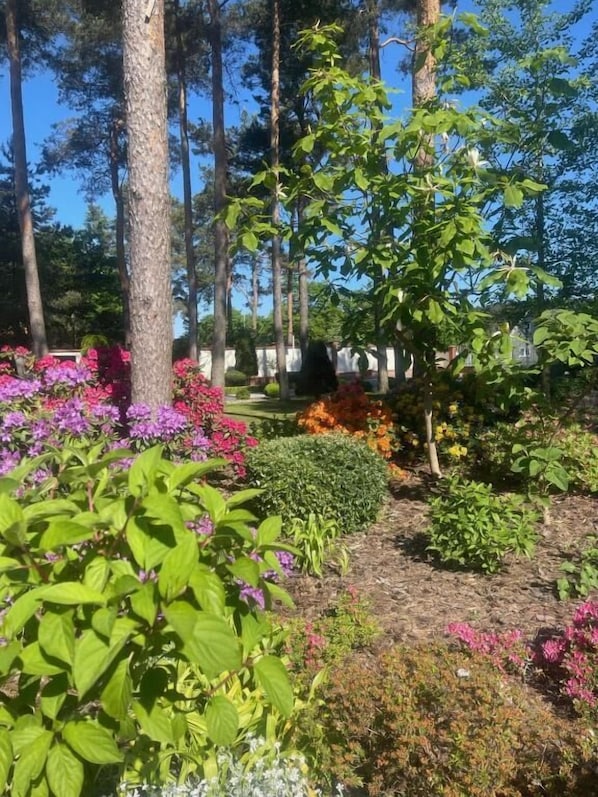 A garden with various plants and trees, a pathway, and a building in the background.