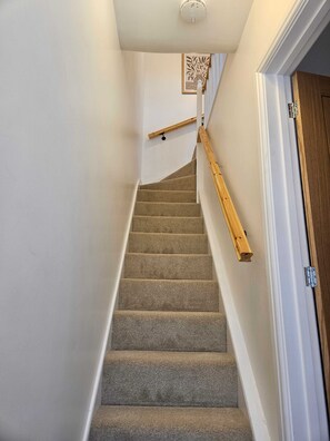 Eine Teppichstufen Treppe mit Holzwändern und einer weißen Tür am Ende.