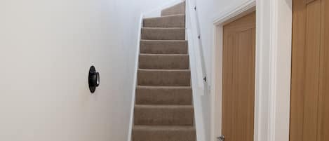 A narrow hallway with a carpeted staircase leading to a wooden door.
