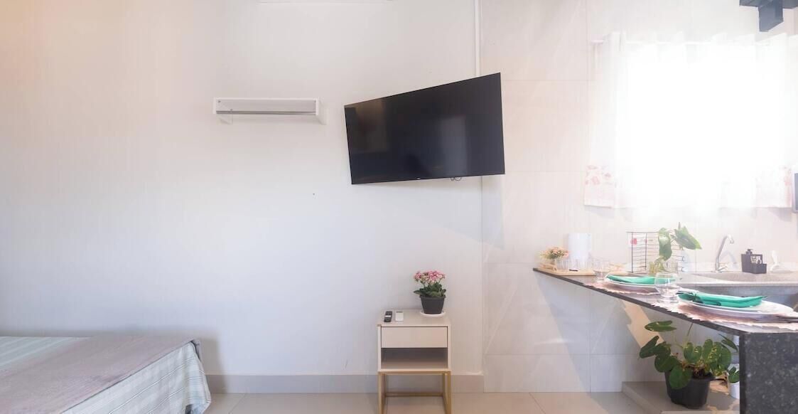 A room with a bed, a small table with a potted plant, a flat-screen TV mounted on the wall, and a kitchenette area with a sink and countertop.