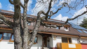 Exterior - Vrbo Property (Menzenschwand)