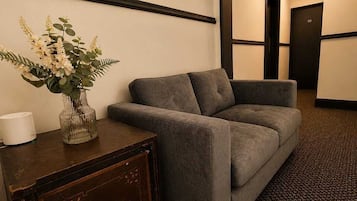 Desk, laptop workspace, iron/ironing board, WiFi (free)