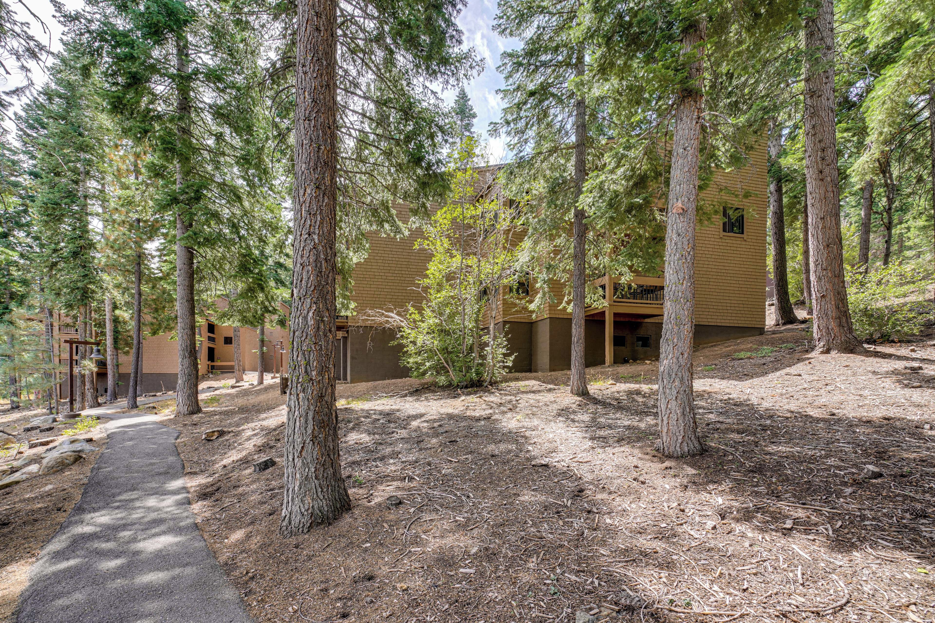 A building surrounded by tall trees with a paved walkway leading to it.