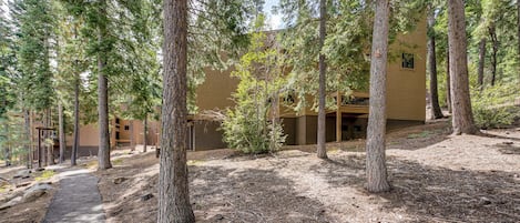 A building surrounded by tall trees with a paved walkway leading to it.