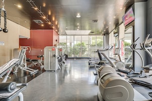 A gym with various exercise equipment, a mirrored wall, and a view of greenery outside.