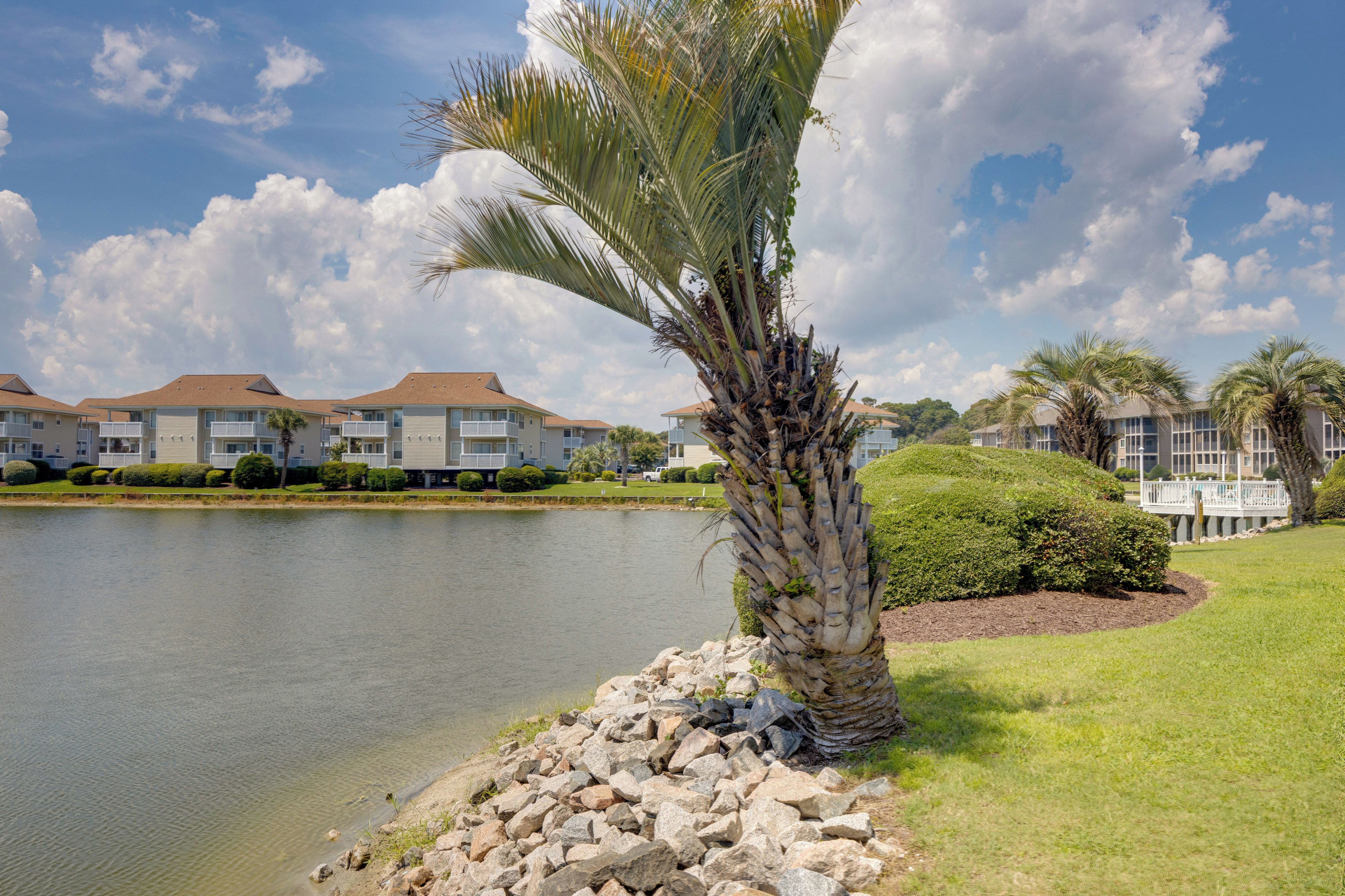A lakeside view with a palm tree, a rocky shoreline, and a row of apartment buildings.