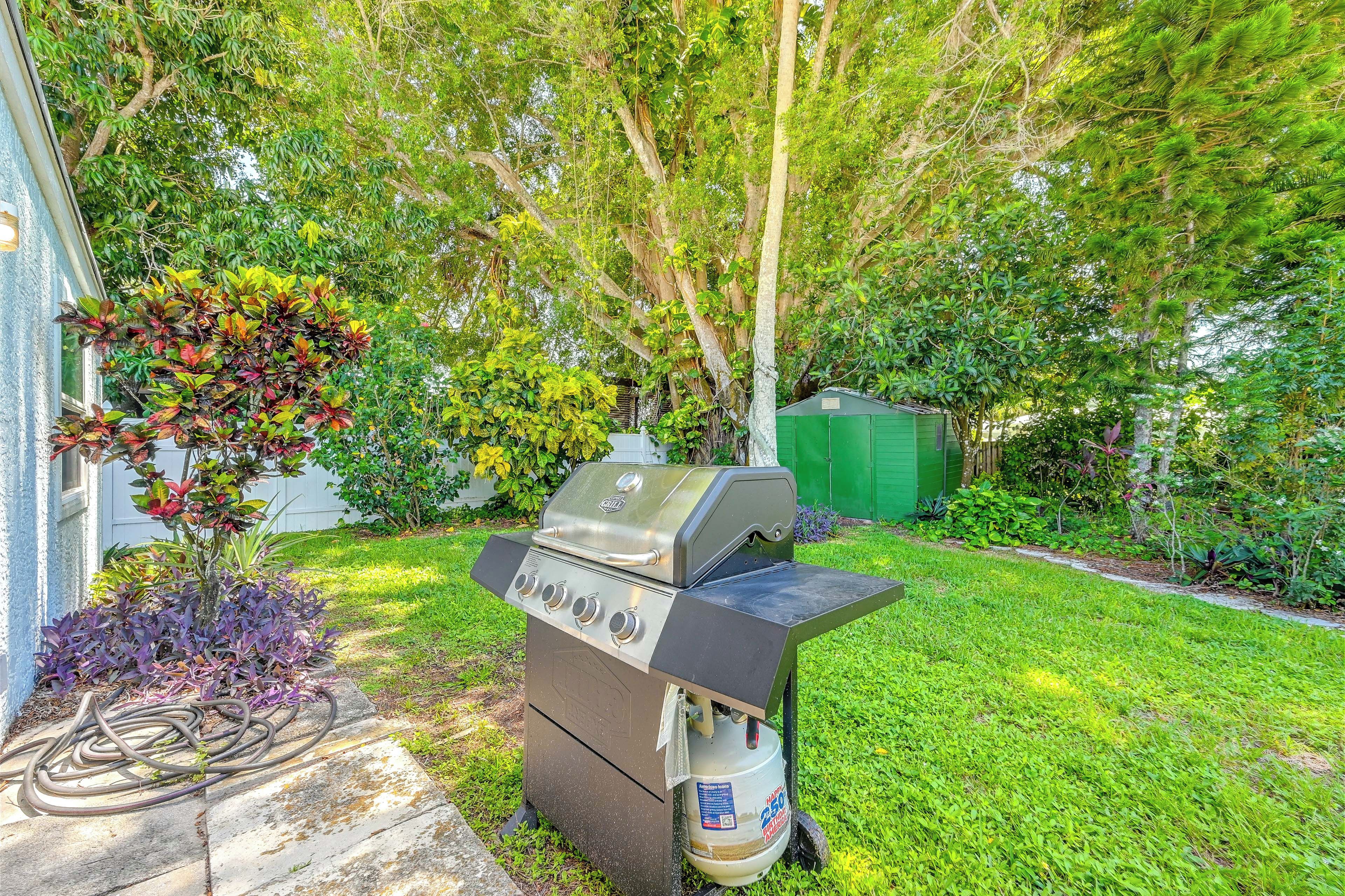 A backyard with a barbecue grill, a green shed, and various plants.