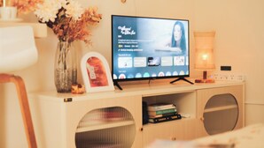 Ein Fernseher auf einem Holzboden, mit einer Blumenvase und einem gerahmten Bild.