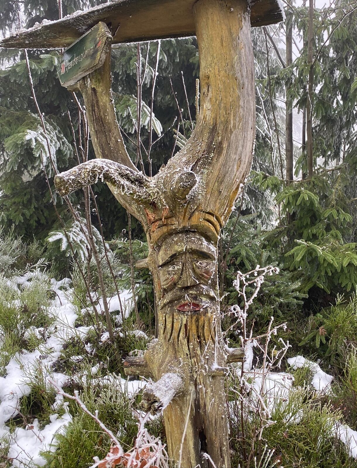 Ein Baum mit einem geschnitzten Gesicht, umgeben von Schnee und Grün.