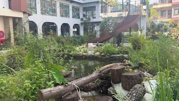 A courtyard with a pond, surrounded by lush greenery and a building with arched windows.