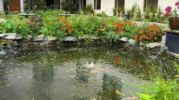 Un patio con estanque de carpas, plantas en macetas y un edificio con ventanas de arco.
