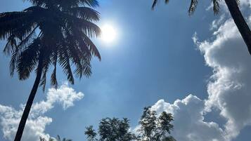 A sign for 'VIVIPRA HABITAT' with a clear sky and palm trees in the background.
