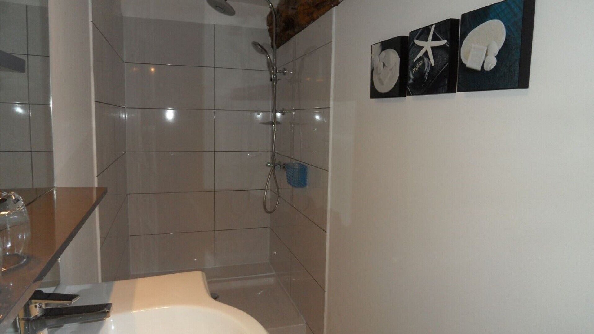 Shower, hair dryer
