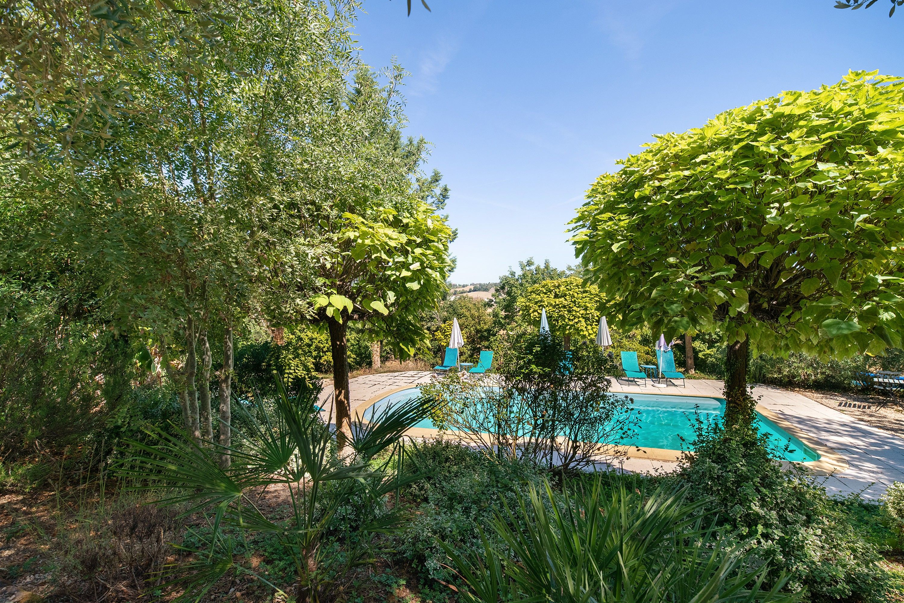 Une piscine entourée d’une végétation luxuriante et d’arbres.