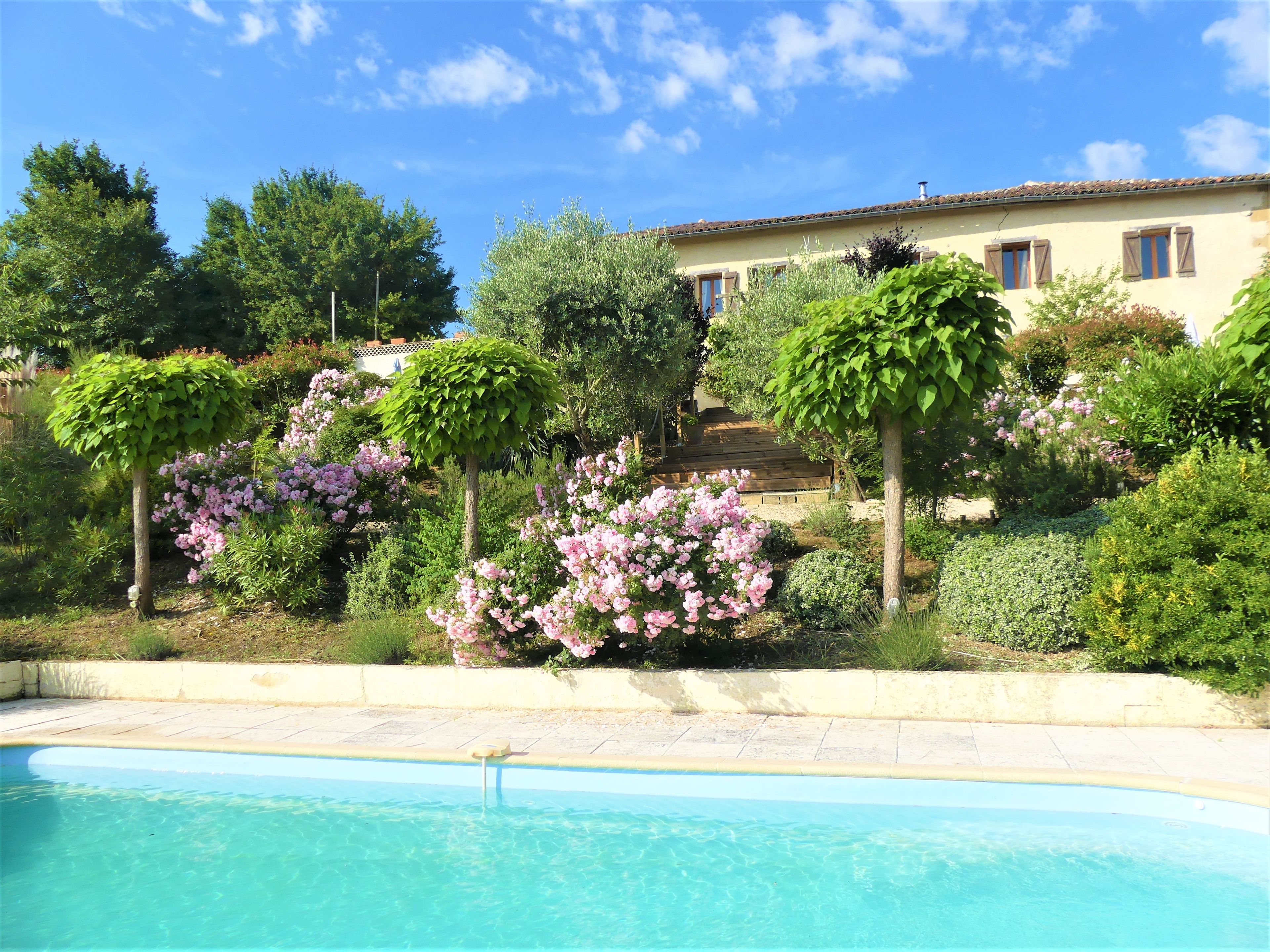 A swimming pool with a clear blue water surface, surrounded by lush greenery and flowering plants.