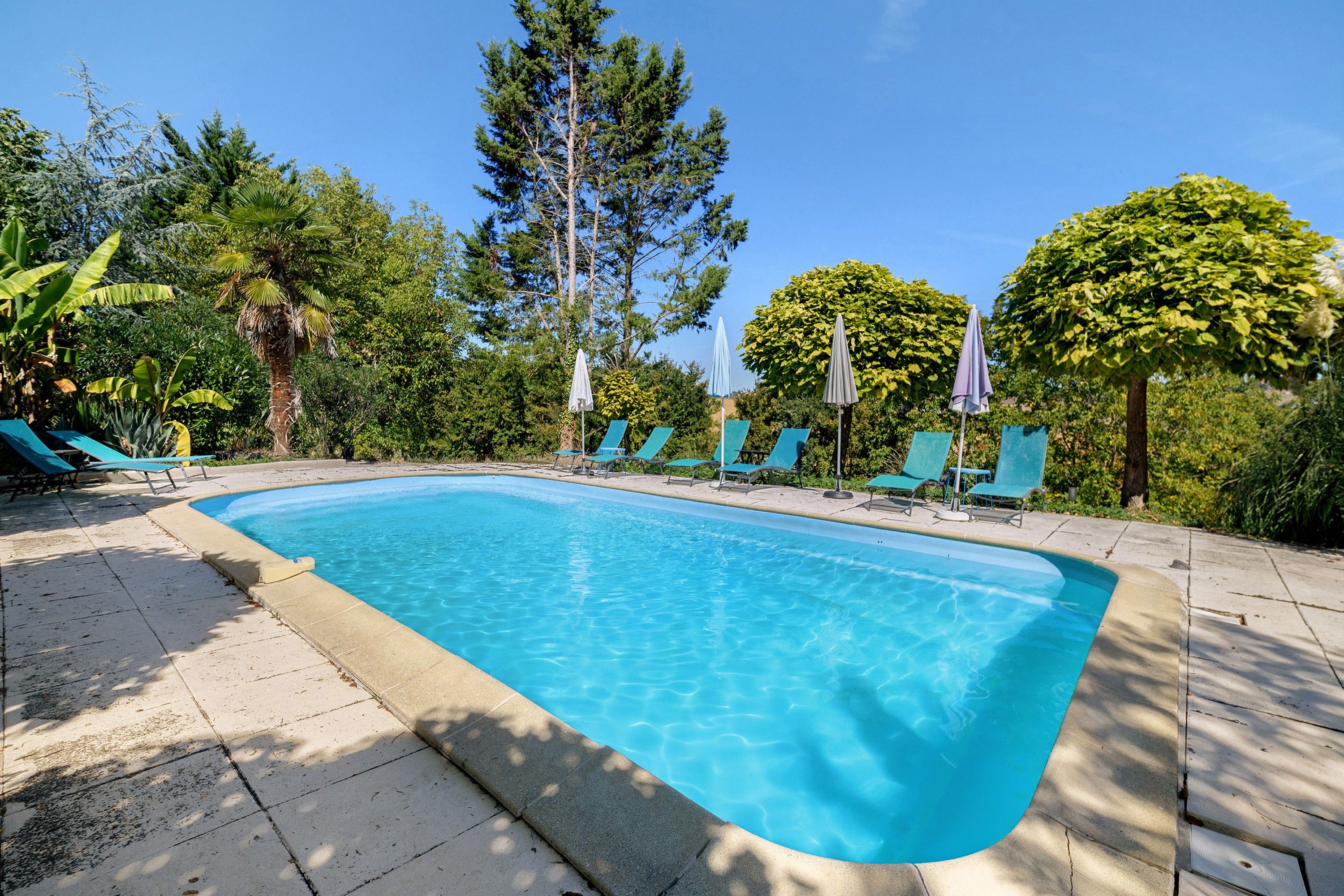 A rectangular swimming pool with a tiled edge, surrounded by lounge chairs and umbrellas, set against a backdrop of trees and greenery.