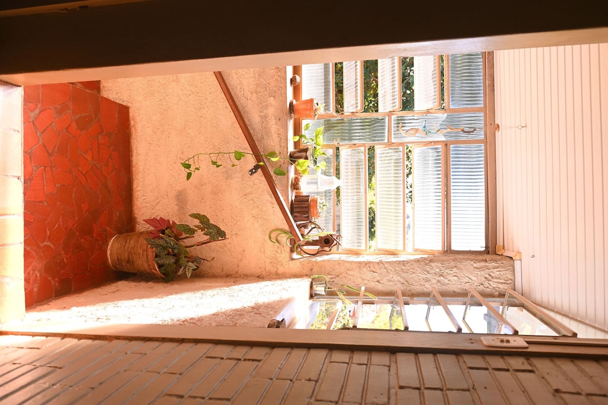 Una habitación con techo inclinado, una ventana con persianas, una planta en maceta y una escalera de madera.