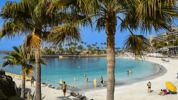 A beach with palm trees, clear blue water, and people swimming and sunbathing.