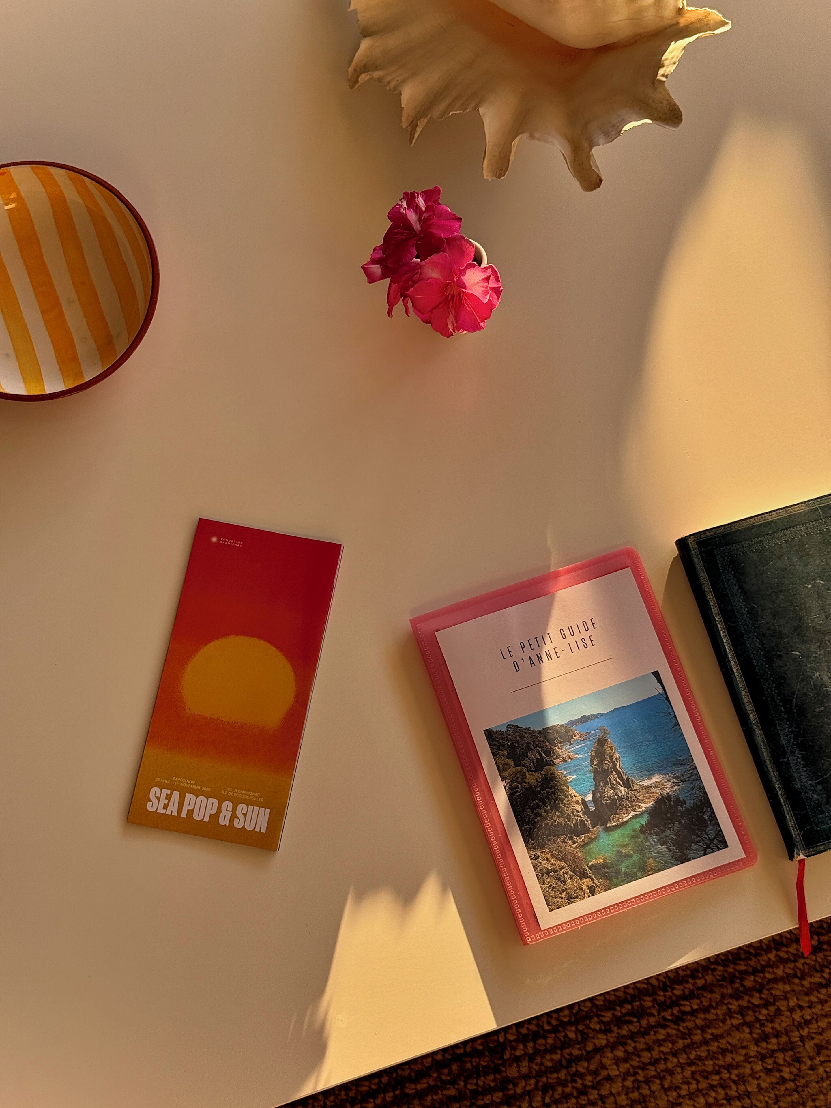 Una composición con un libro titulado 'SEA POP & SUN' y otro libro con una imagen costera, ambos sobre una superficie blanca junto a una concha y una flor rosa.