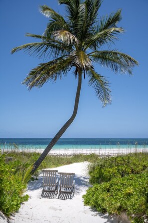 A beach scene with a palm tree, two wooden chairs, and a clear view of the ocean. - Coralli - Contemporary Beachfront Escape With Private Pool 3 Bedroom Home (Savannah Sound)