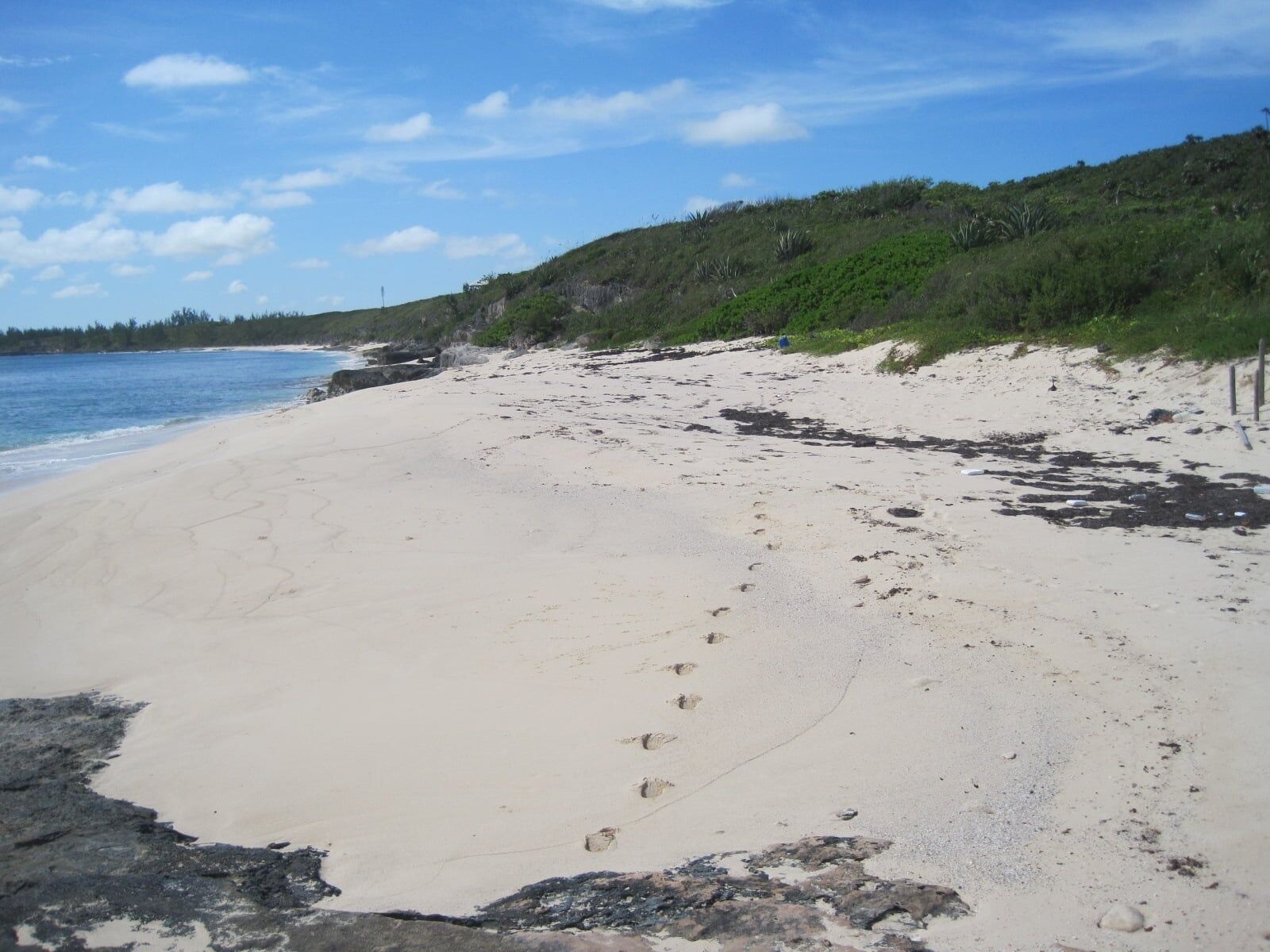 A sandy beach with footprints leading to the water, a grassy hill in the background, and a clear sky.