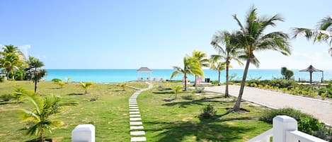 A pathway leading to a beach with palm trees and a gazebo.