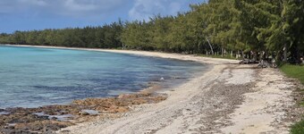 Starlit Retreat - Brand New Cottage Steps From Caribbean-side 1 Bedroom Home