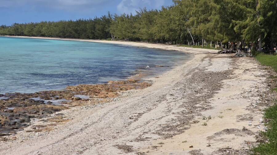 Starlit Retreat - Brand New Cottage Steps From Caribbean-side 1 Bedroom Home