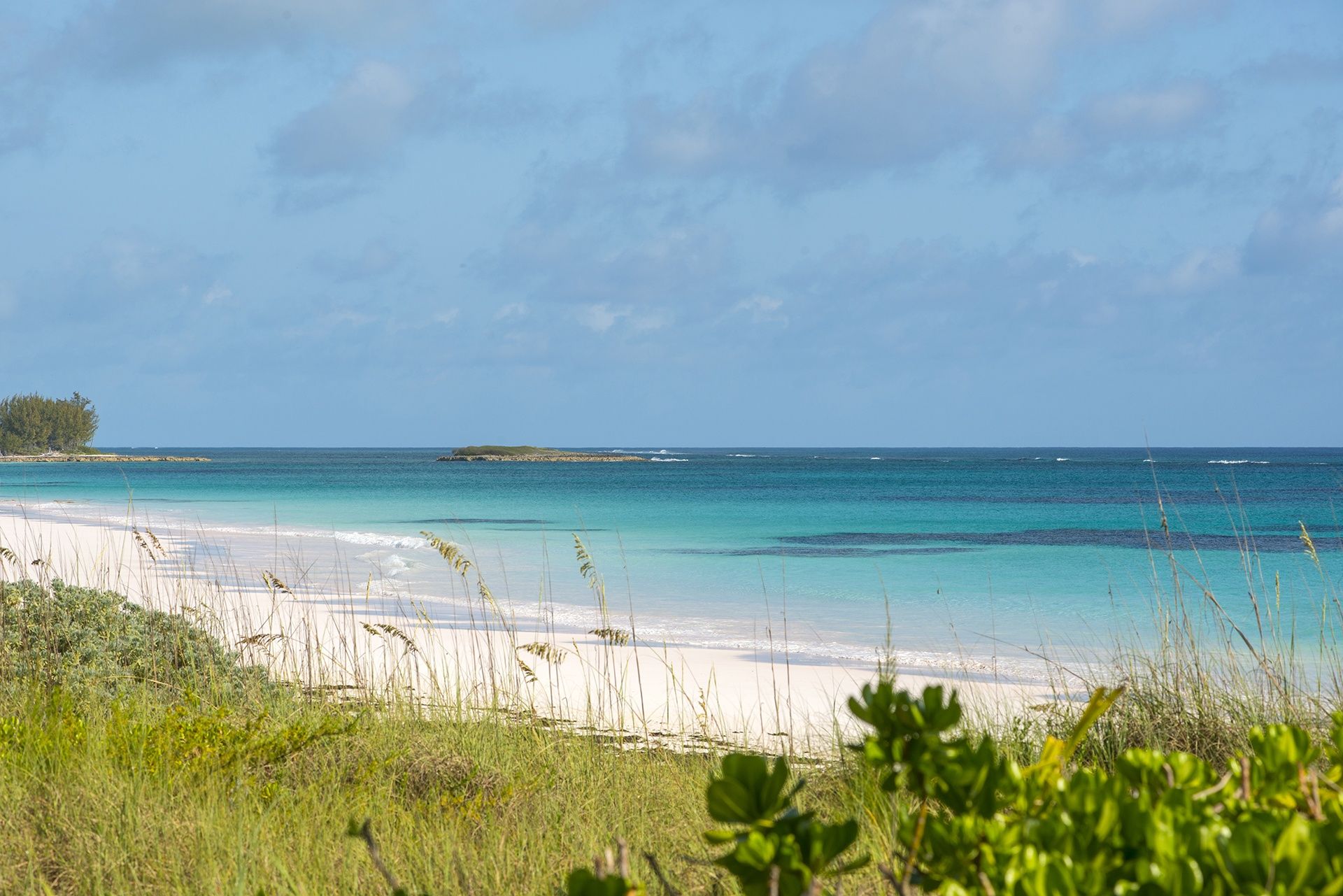 A beach with clear turquoise water, white sand, and sparse vegetation.