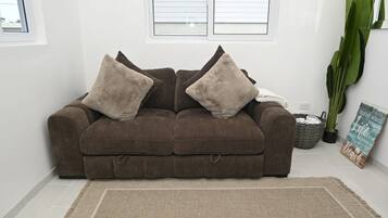A brown sofa with two fluffy pillows, a woven rug, a potted plant, and a motivational poster on the wall.