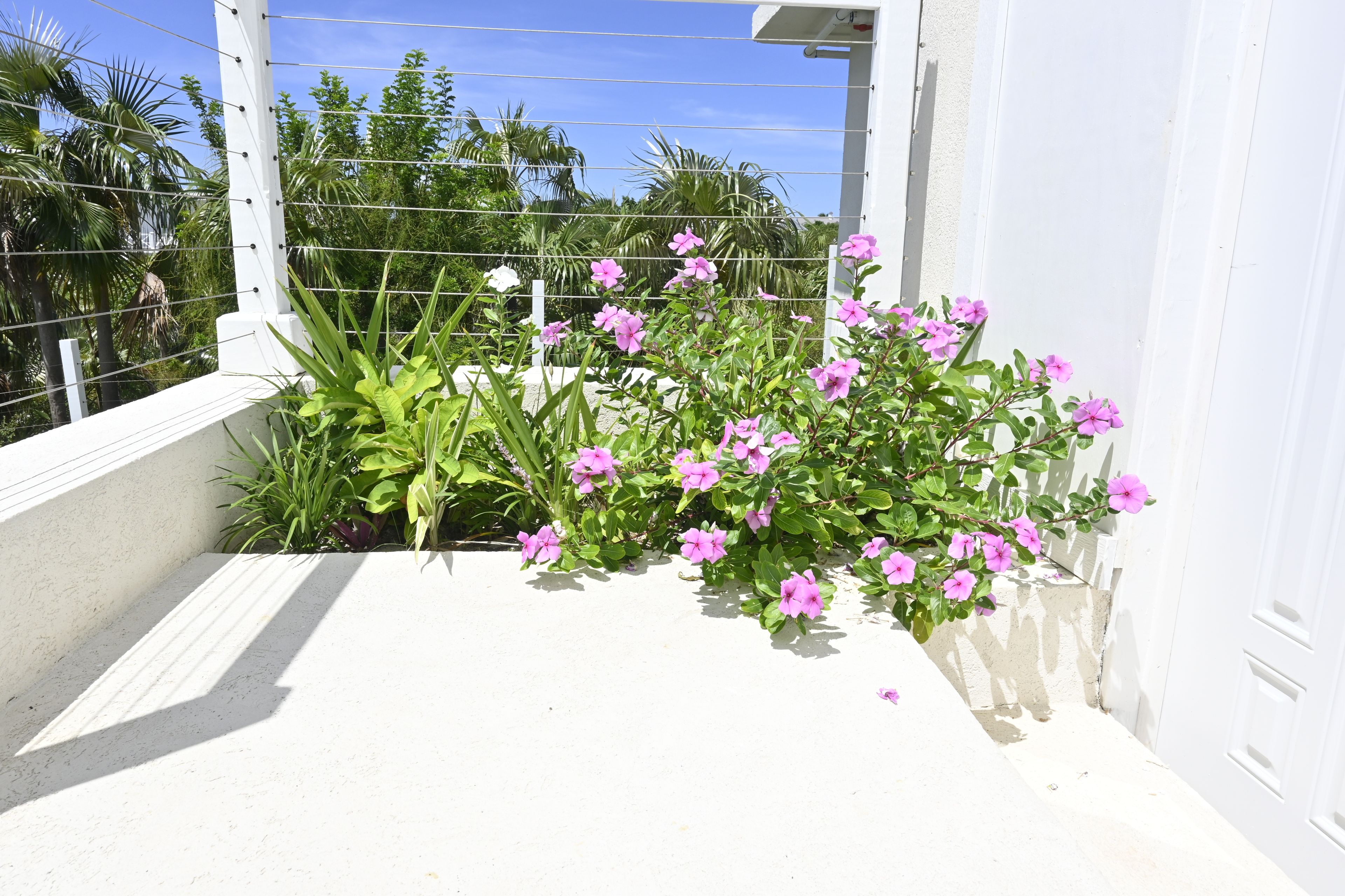 A balcony with a white railing, surrounded by lush green foliage and pink flowers.