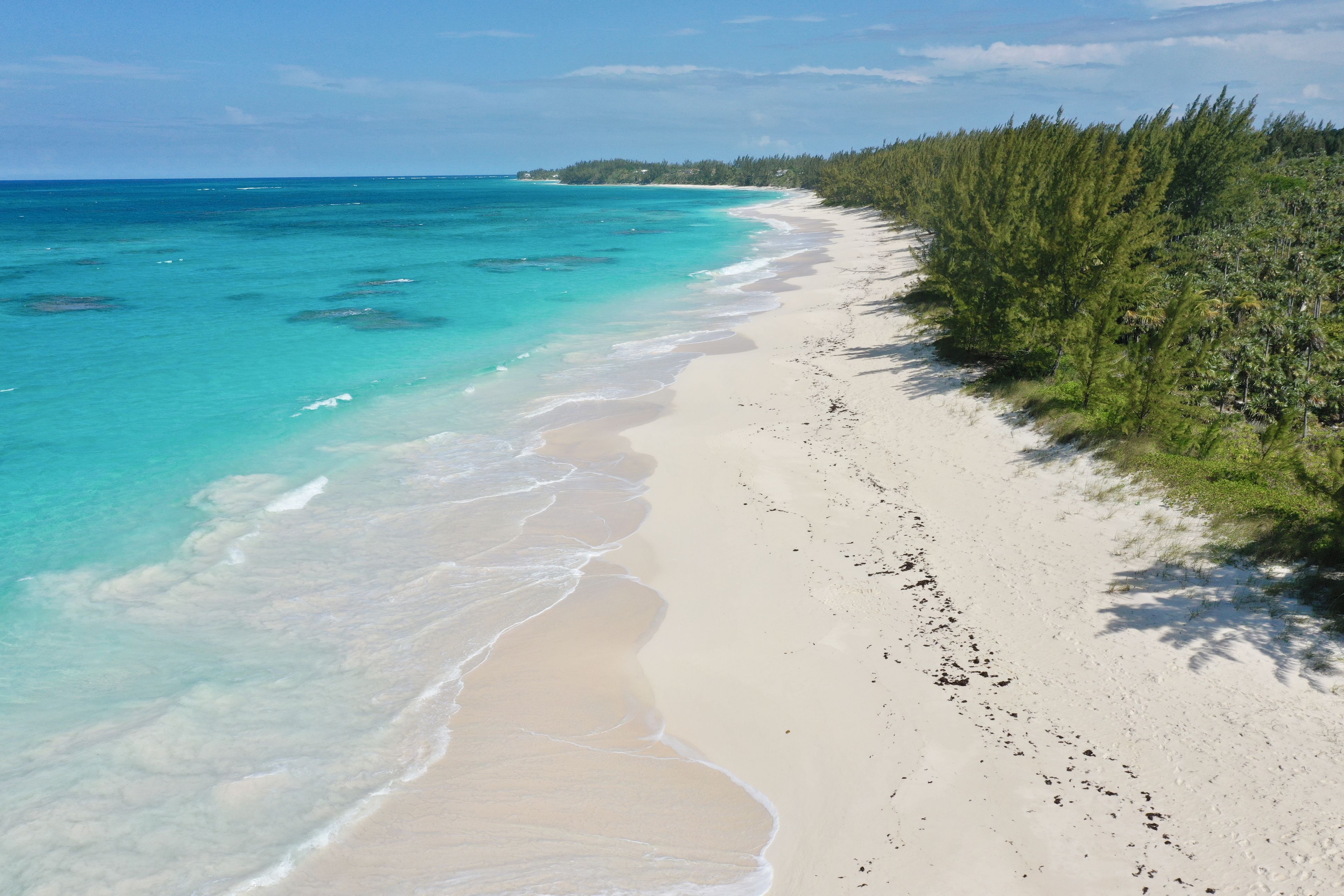 Uma praia com águas turquesa cristalinas, areia branca e vegetação densa à direita.